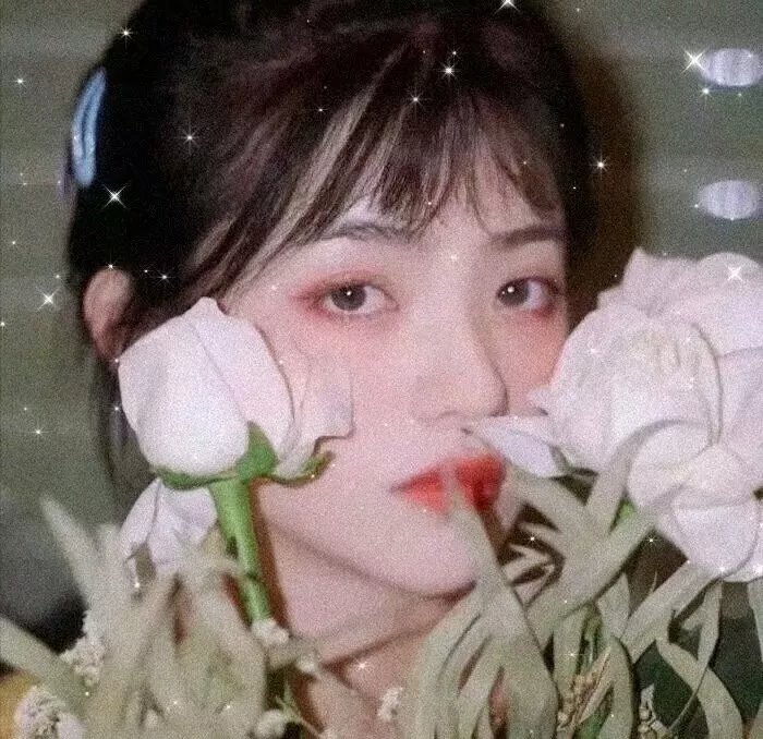 兽王野女