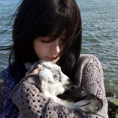 腌黄瓜先生第一季